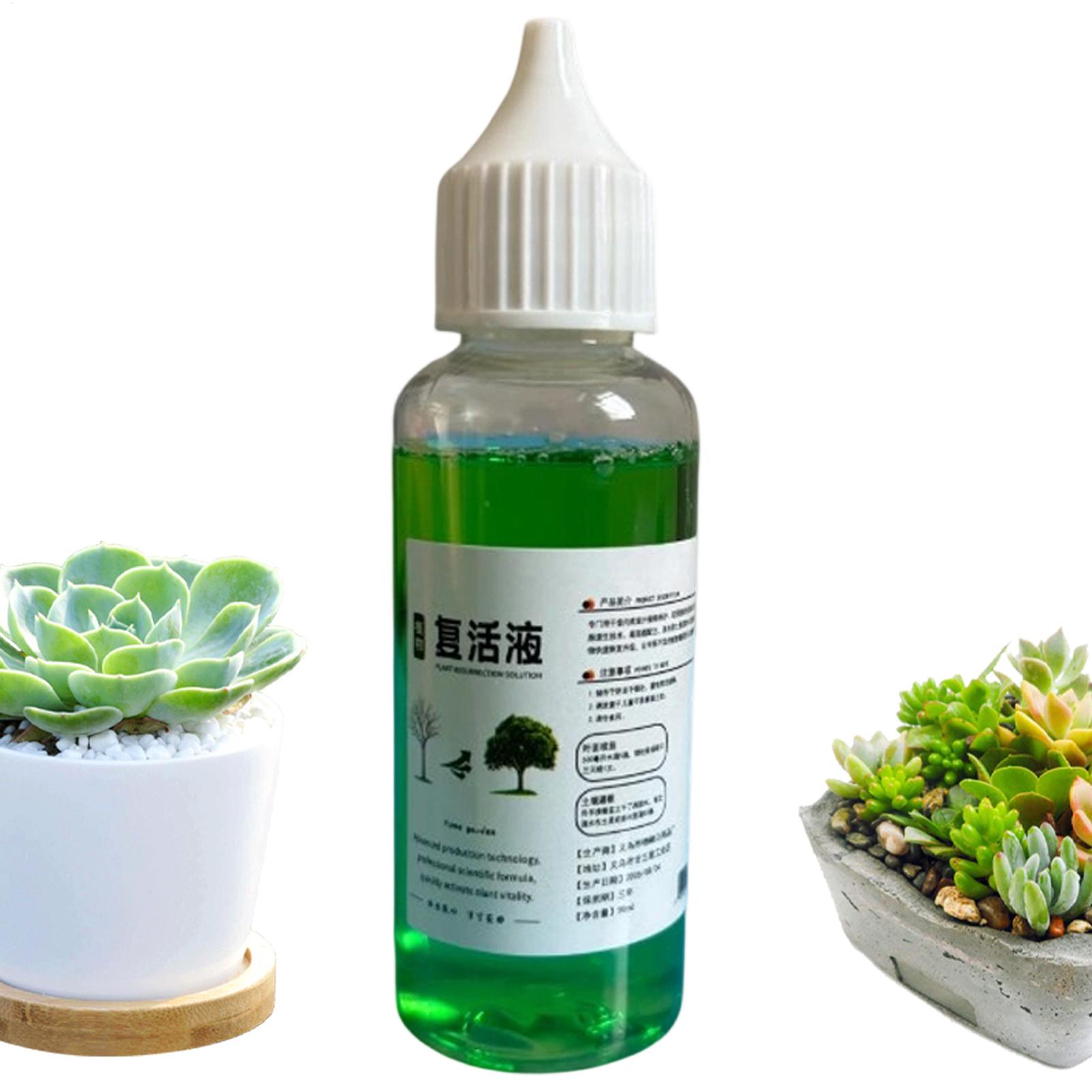 Root Stimulator Liquid - Stimulateur de racines pour plantes, agent