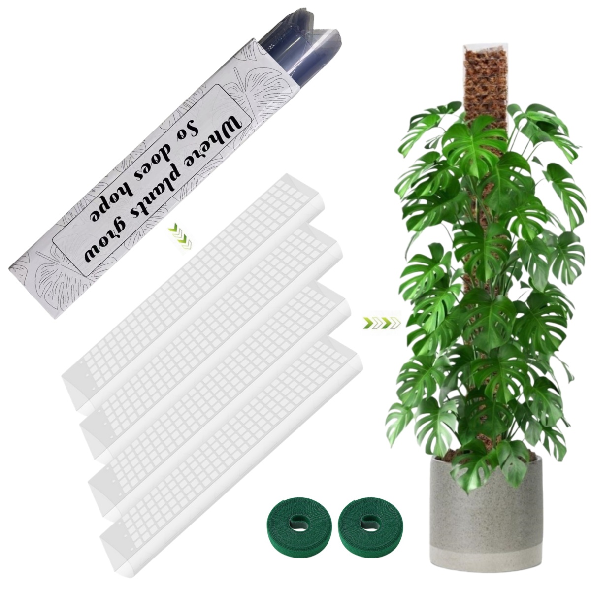 Support en plastique pour plan - Sphagnum Moss Dry avis et prix