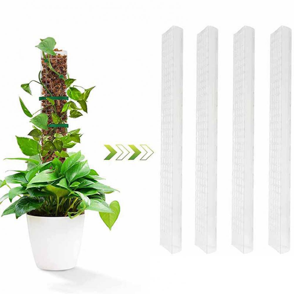 Support pour plantes grimpante - Sphagnum Moss Dry avis et prix